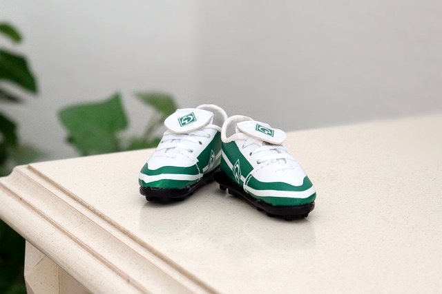 继续奋战的 继续奋战的