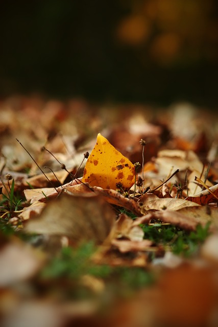 获胜的重要 获胜的重要