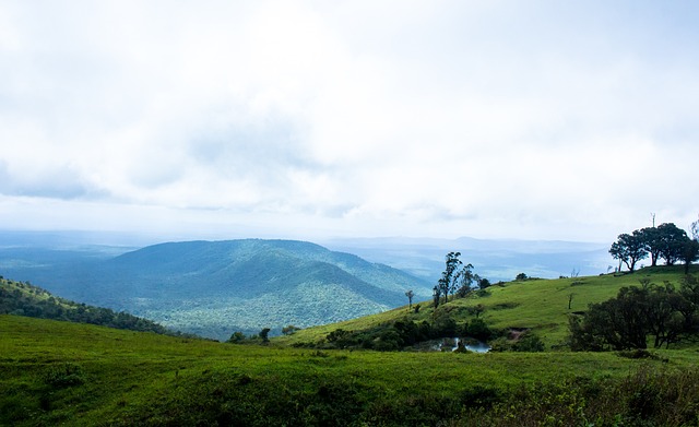 人的球迷一 人的球迷一